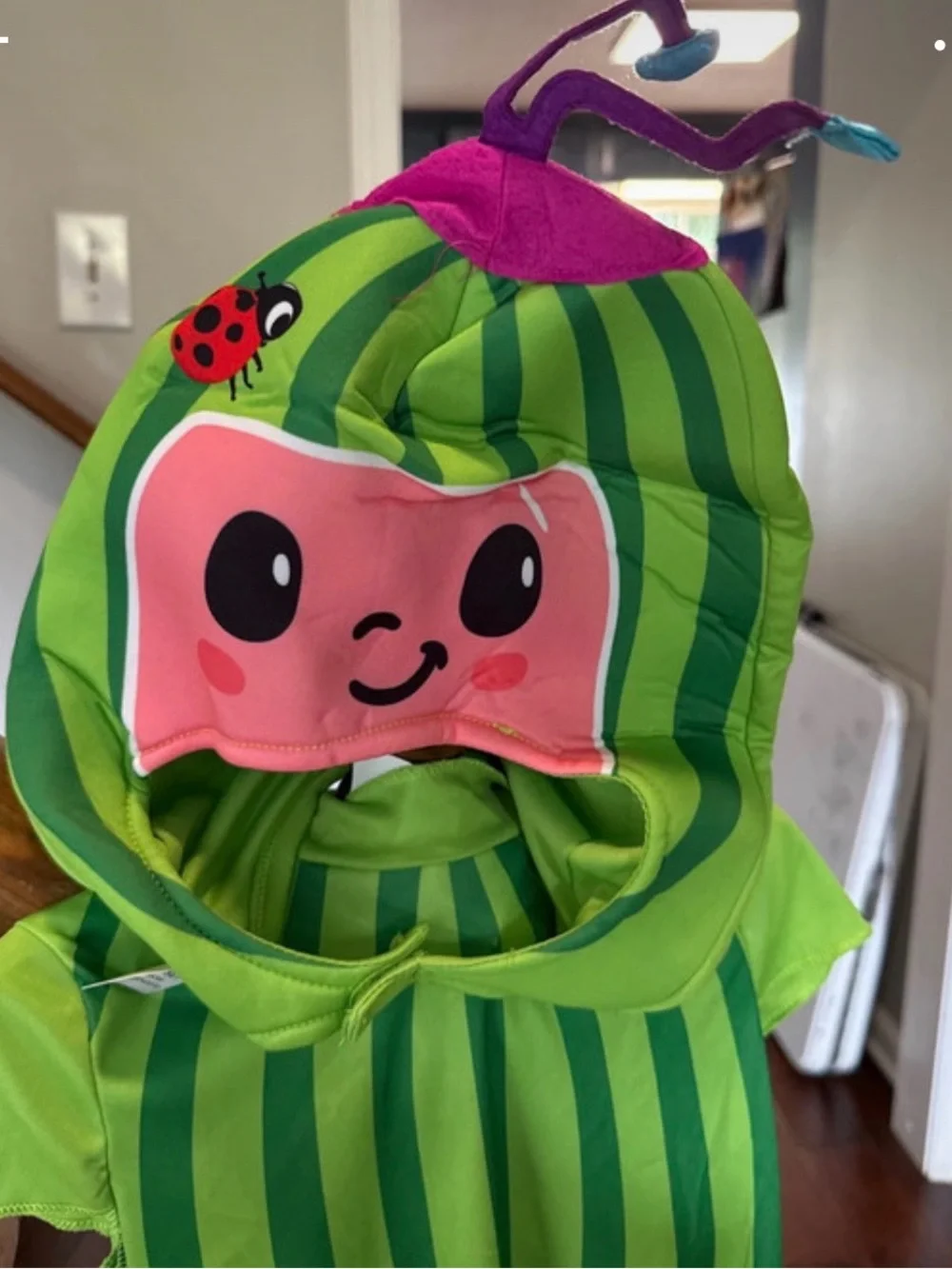 Cocomelon costume